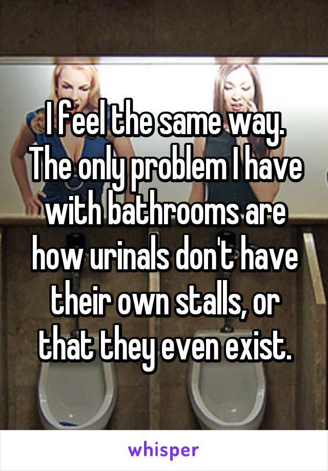 I feel the same way. The only problem I have with bathrooms are how urinals don't have their own stalls, or that they even exist.