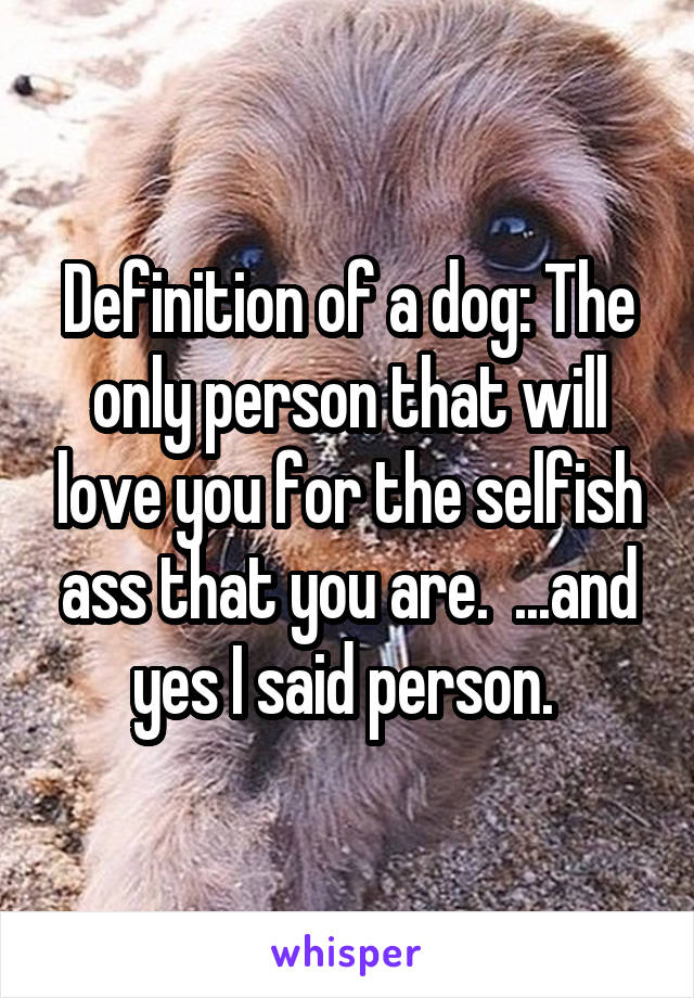 Definition of a dog: The only person that will love you for the selfish ass that you are.  ...and yes I said person. 