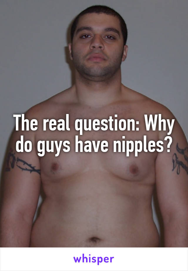 The real question: Why do guys have nipples?