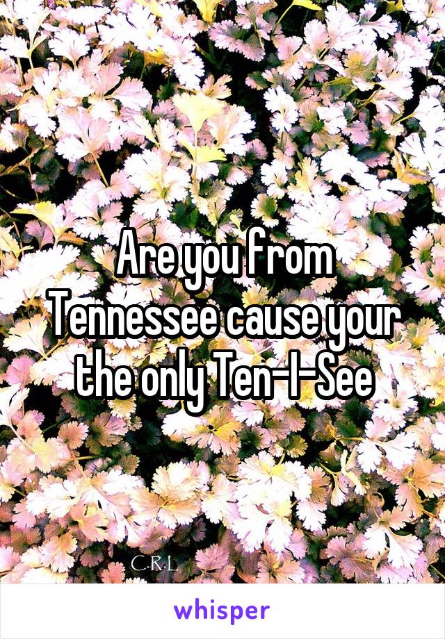 Are you from Tennessee cause your the only Ten-I-See