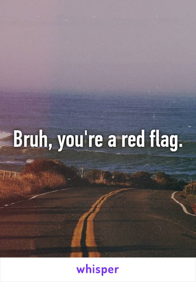 Bruh, you're a red flag.