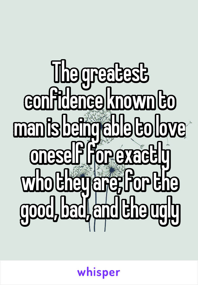 The greatest confidence known to man is being able to love oneself for exactly who they are; for the good, bad, and the ugly