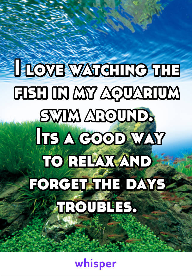 I love watching the fish in my aquarium swim around.
 Its a good way to relax and forget the days troubles.