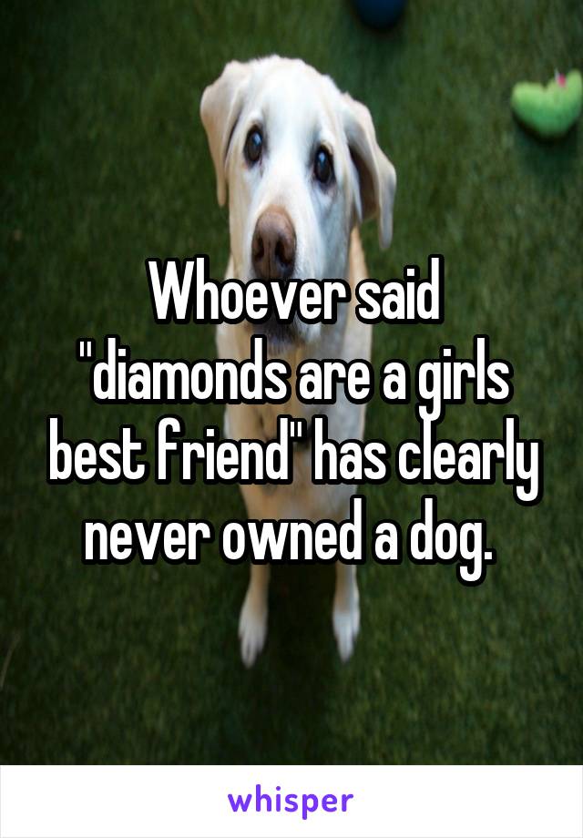 Whoever said "diamonds are a girls best friend" has clearly never owned a dog. 