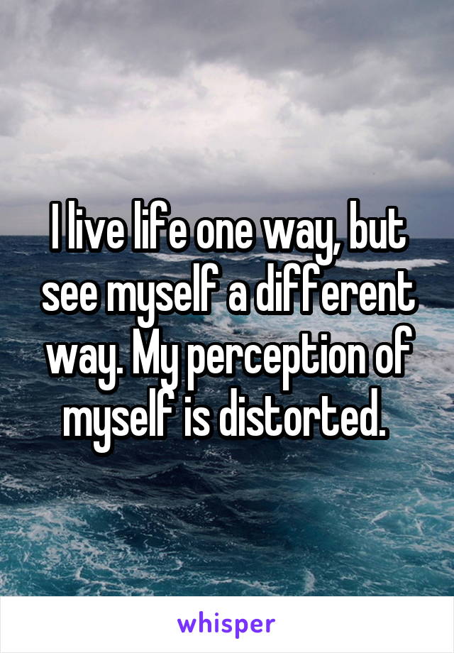 I live life one way, but see myself a different way. My perception of myself is distorted. 