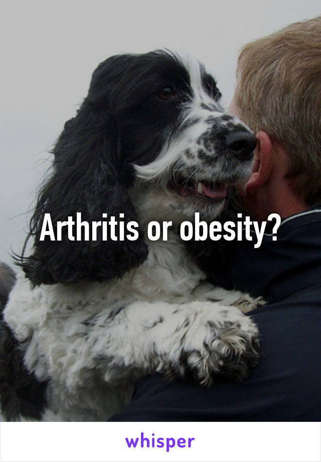 Arthritis or obesity?