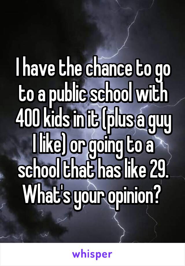 I have the chance to go to a public school with 400 kids in it (plus a guy I like) or going to a school that has like 29. What's your opinion? 