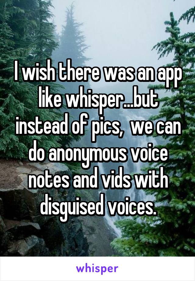 I wish there was an app like whisper...but instead of pics,  we can do anonymous voice notes and vids with disguised voices.