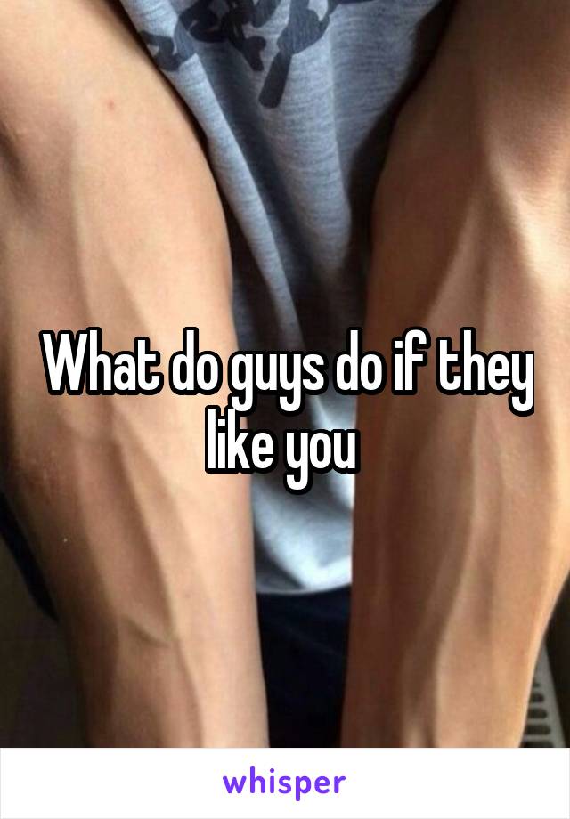 What do guys do if they like you 