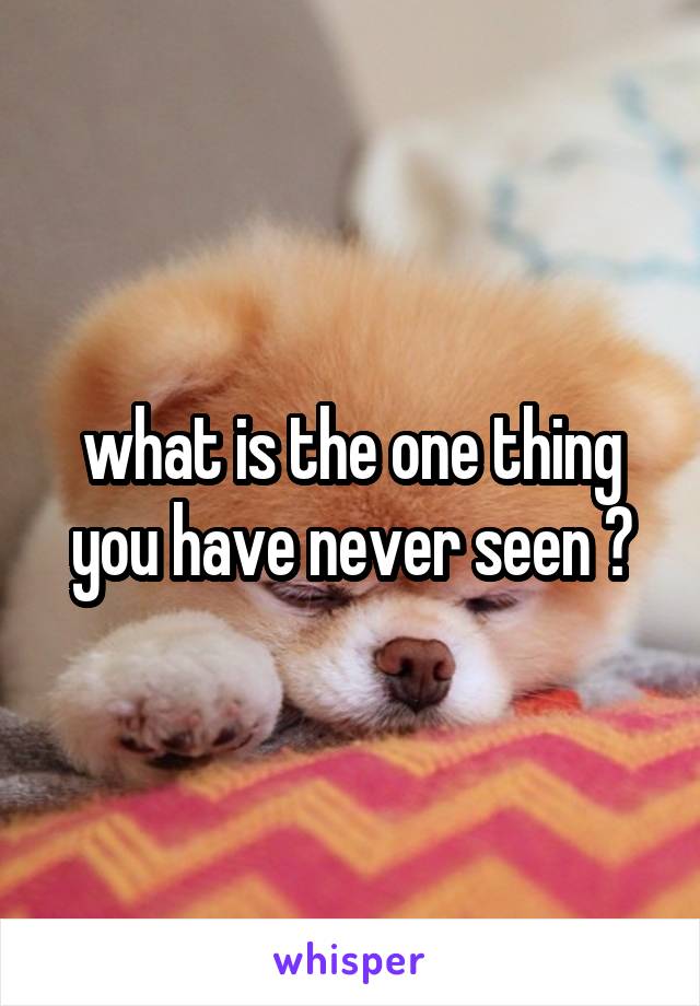 what is the one thing you have never seen ?