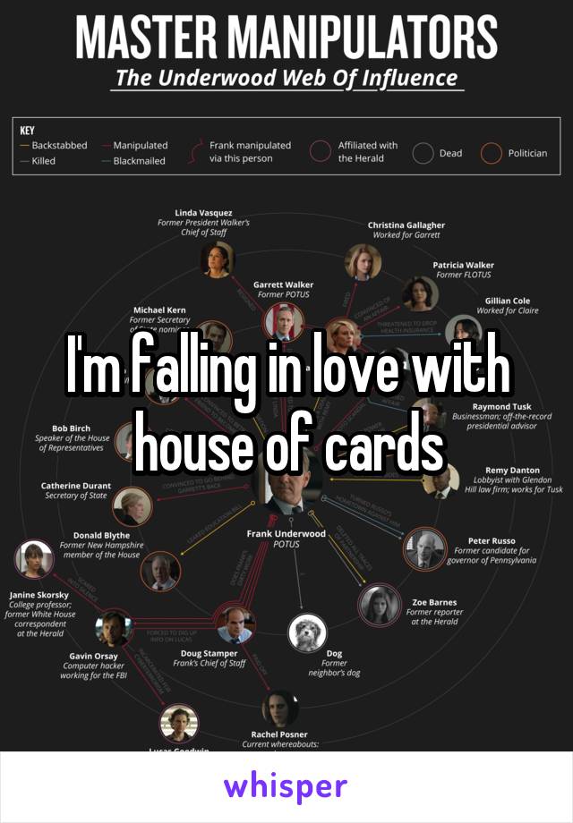 I'm falling in love with house of cards