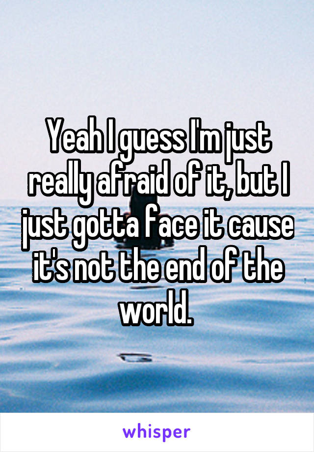 Yeah I guess I'm just really afraid of it, but I just gotta face it cause it's not the end of the world. 