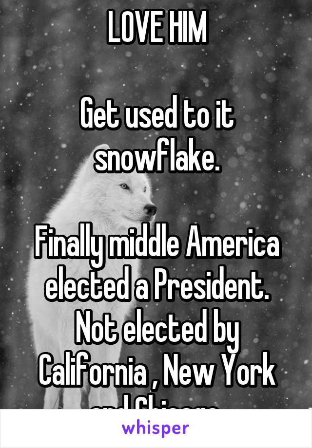 LOVE HIM

Get used to it snowflake.

Finally middle America elected a President.
Not elected by California , New York and Chicago 