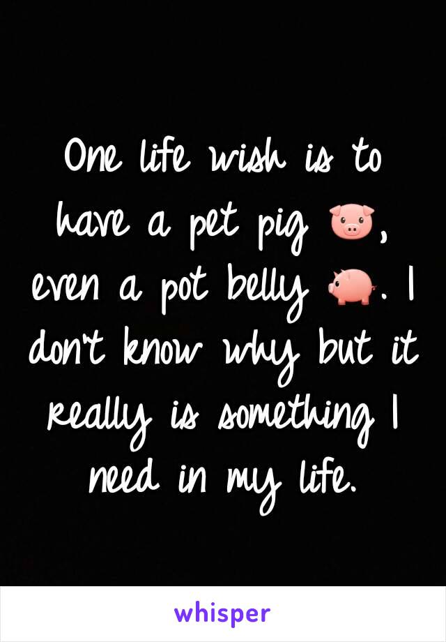 One life wish is to have a pet pig 🐷, even a pot belly 🐖. I don't know why but it really is something I need in my life.