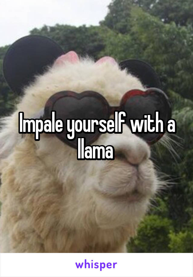 Impale yourself with a llama 