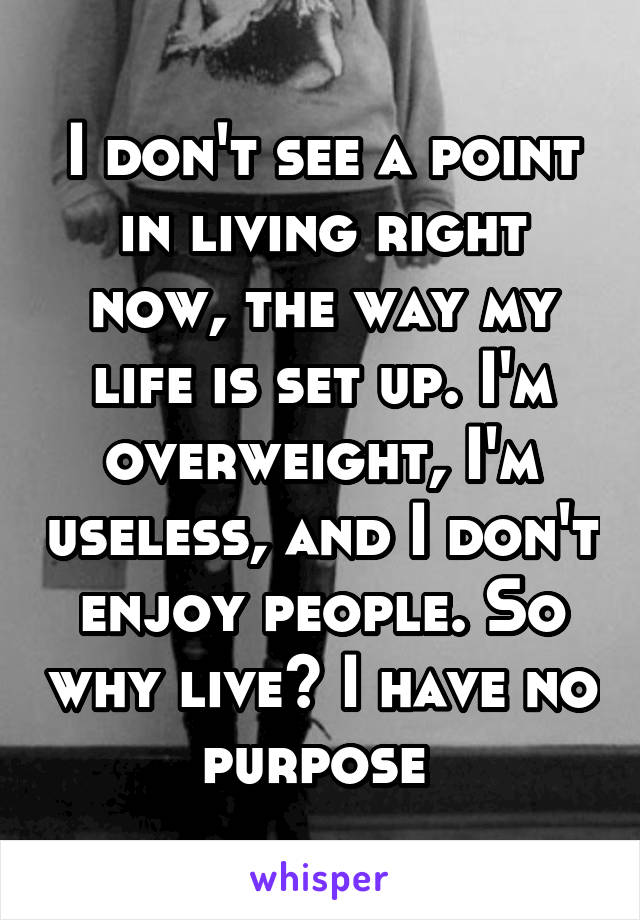 I don't see a point in living right now, the way my life is set up. I'm overweight, I'm useless, and I don't enjoy people. So why live? I have no purpose 