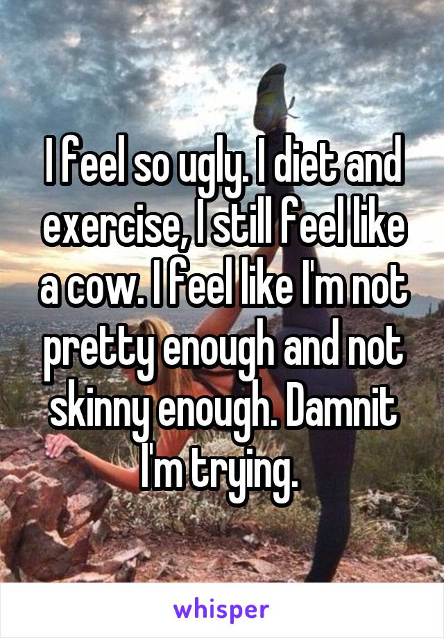 I feel so ugly. I diet and exercise, I still feel like a cow. I feel like I'm not pretty enough and not skinny enough. Damnit I'm trying. 