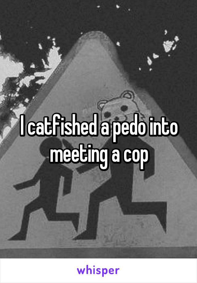 I catfished a pedo into meeting a cop