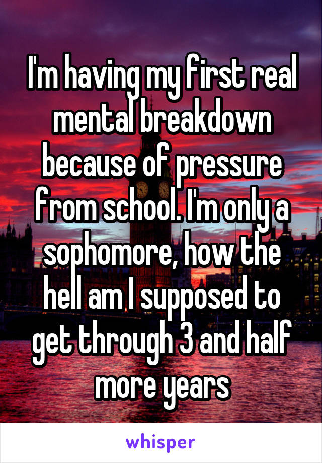 I'm having my first real mental breakdown because of pressure from school. I'm only a sophomore, how the hell am I supposed to get through 3 and half more years