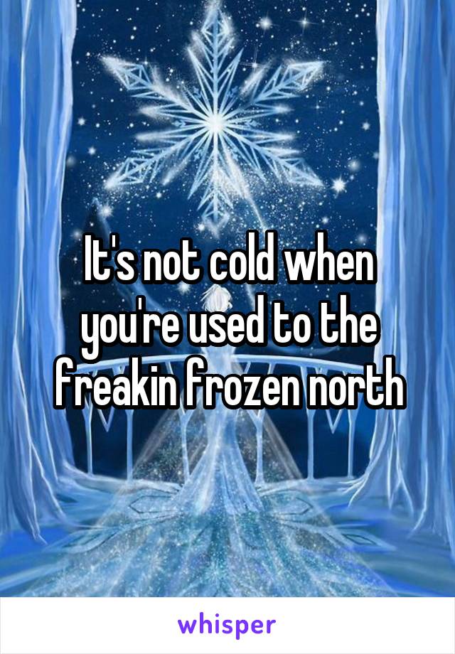 It's not cold when you're used to the freakin frozen north