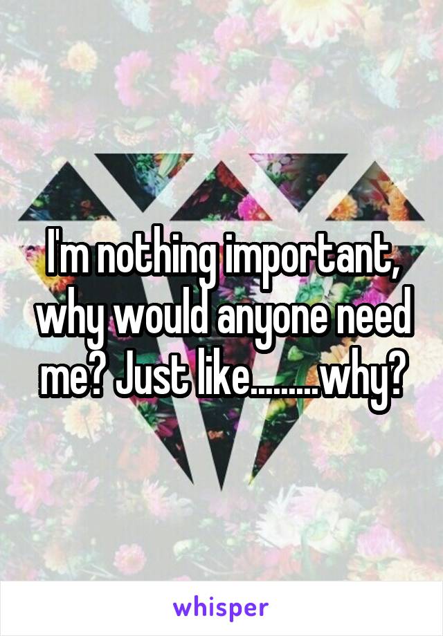 I'm nothing important, why would anyone need me? Just like.........why?