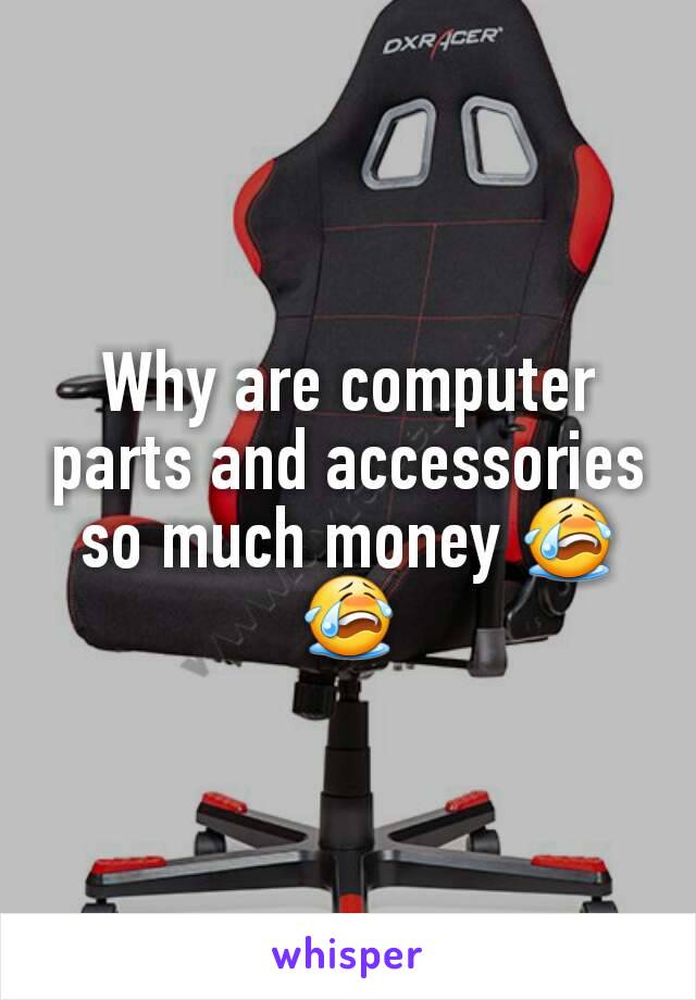 Why are computer parts and accessories so much money 😭😭