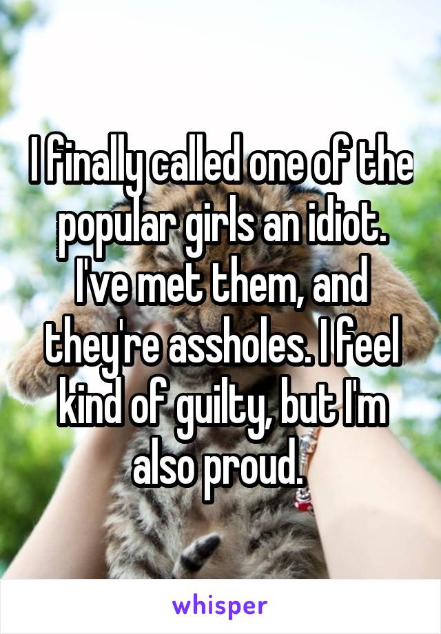 I finally called one of the popular girls an idiot. I've met them, and they're assholes. I feel kind of guilty, but I'm also proud. 