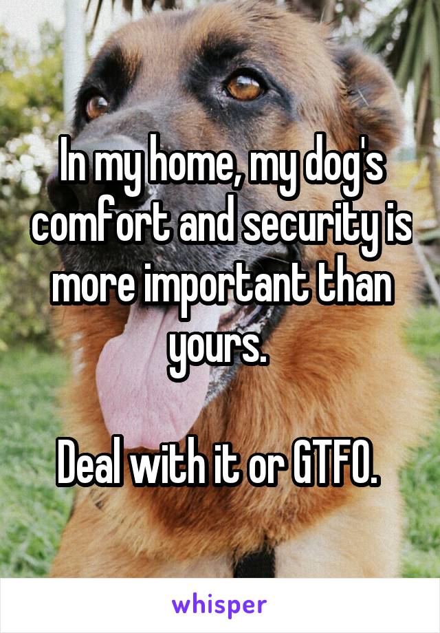 In my home, my dog's comfort and security is more important than yours. 

Deal with it or GTFO. 