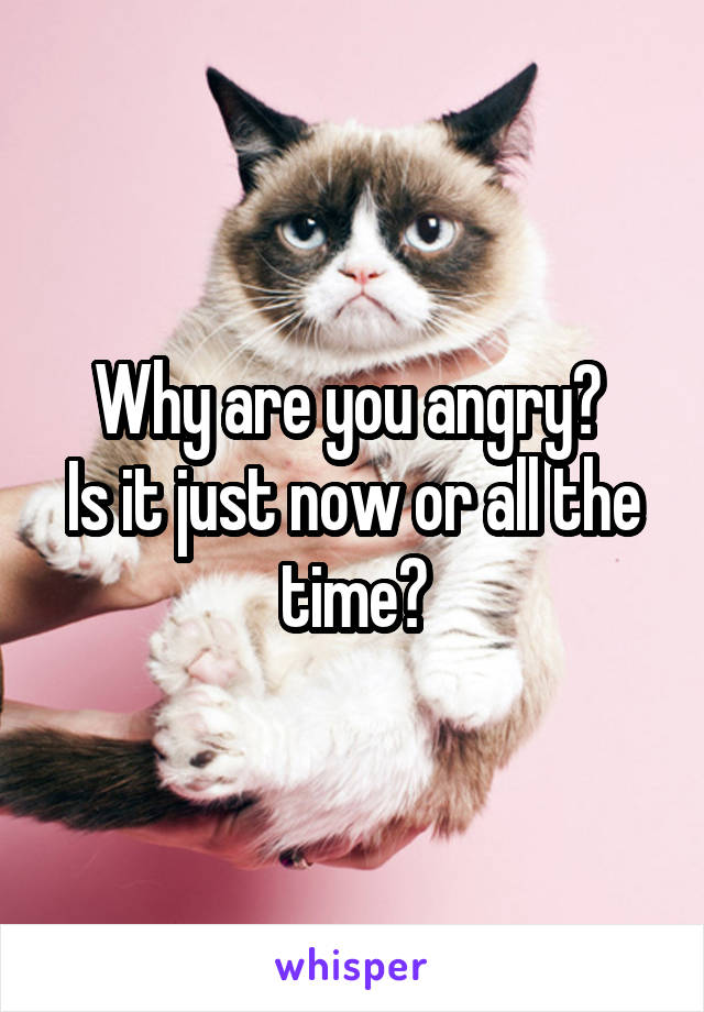 Why are you angry? 
Is it just now or all the time?