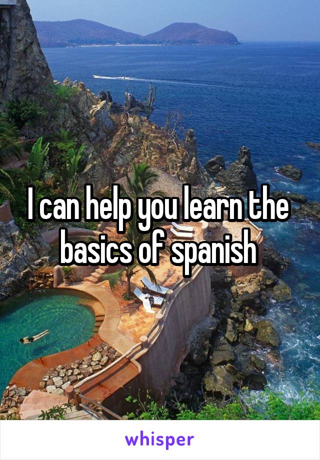 I can help you learn the  basics of spanish 