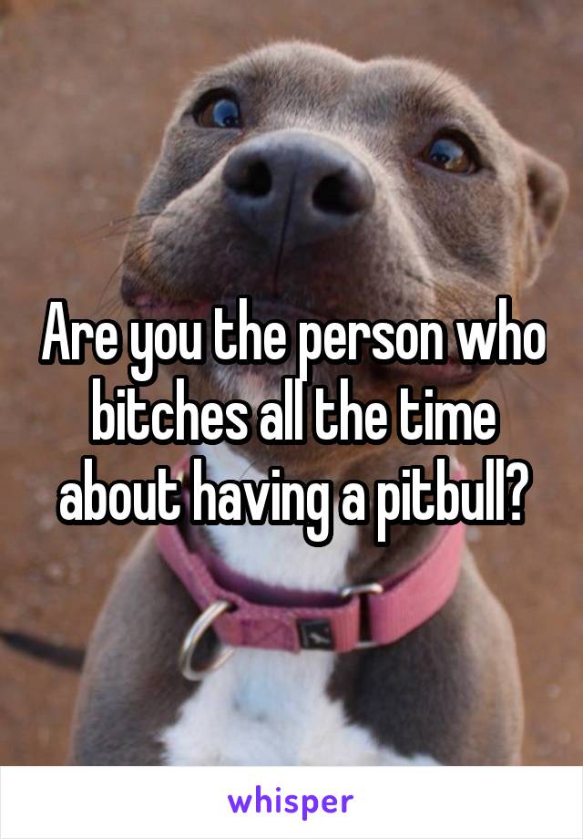 Are you the person who bitches all the time about having a pitbull?