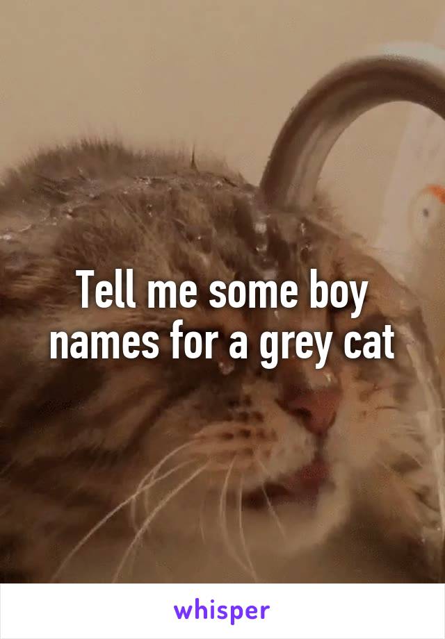 Tell me some boy names for a grey cat