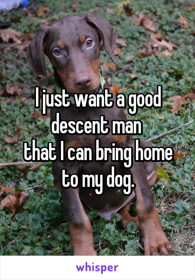 I just want a good descent man 
that I can bring home to my dog.