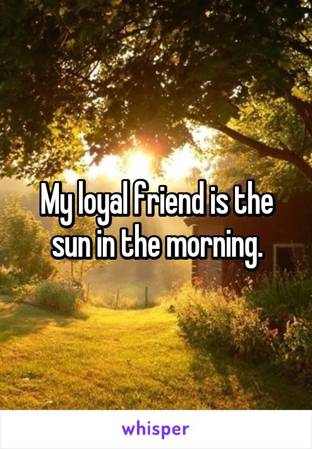 My loyal friend is the sun in the morning.