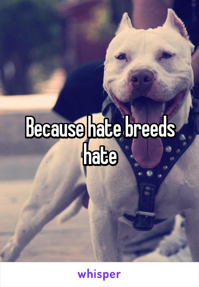 Because hate breeds hate