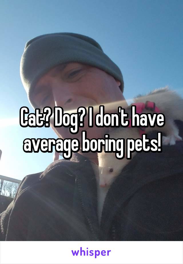 Cat? Dog? I don't have average boring pets!