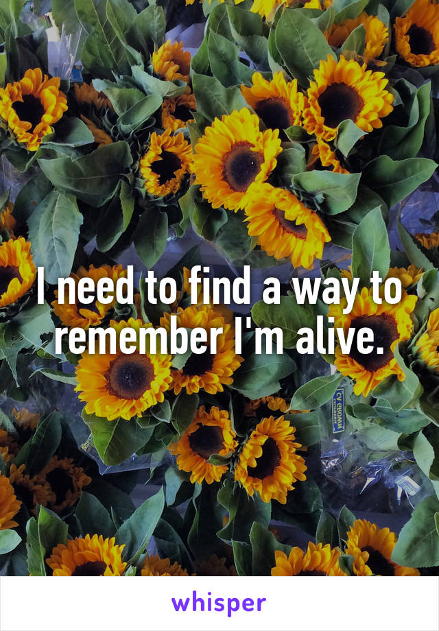 I need to find a way to remember I'm alive.