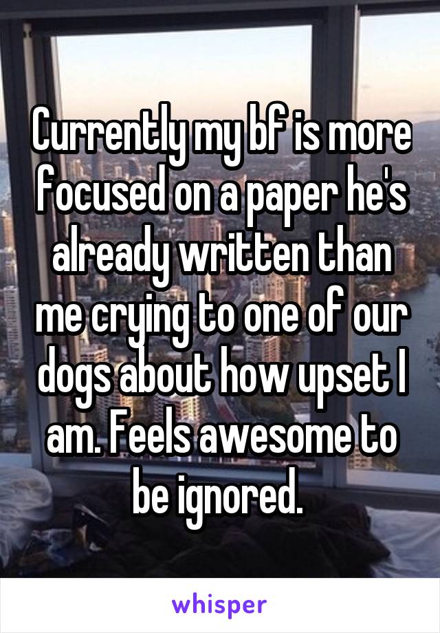 Currently my bf is more focused on a paper he's already written than me crying to one of our dogs about how upset I am. Feels awesome to be ignored. 