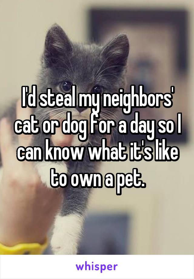 I'd steal my neighbors' cat or dog for a day so I can know what it's like to own a pet.