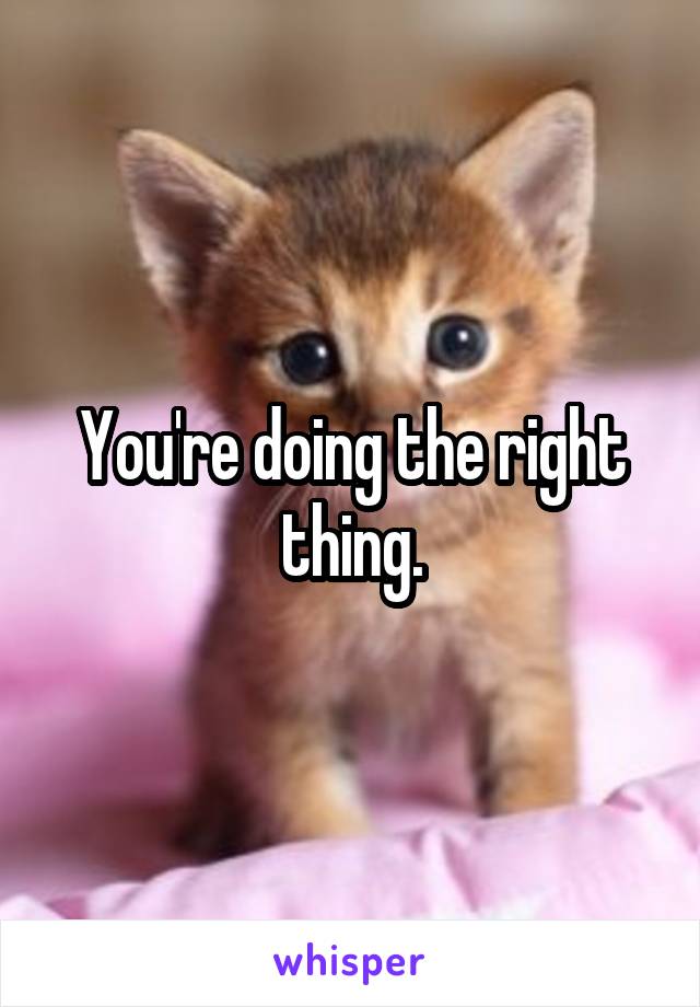 You're doing the right thing.