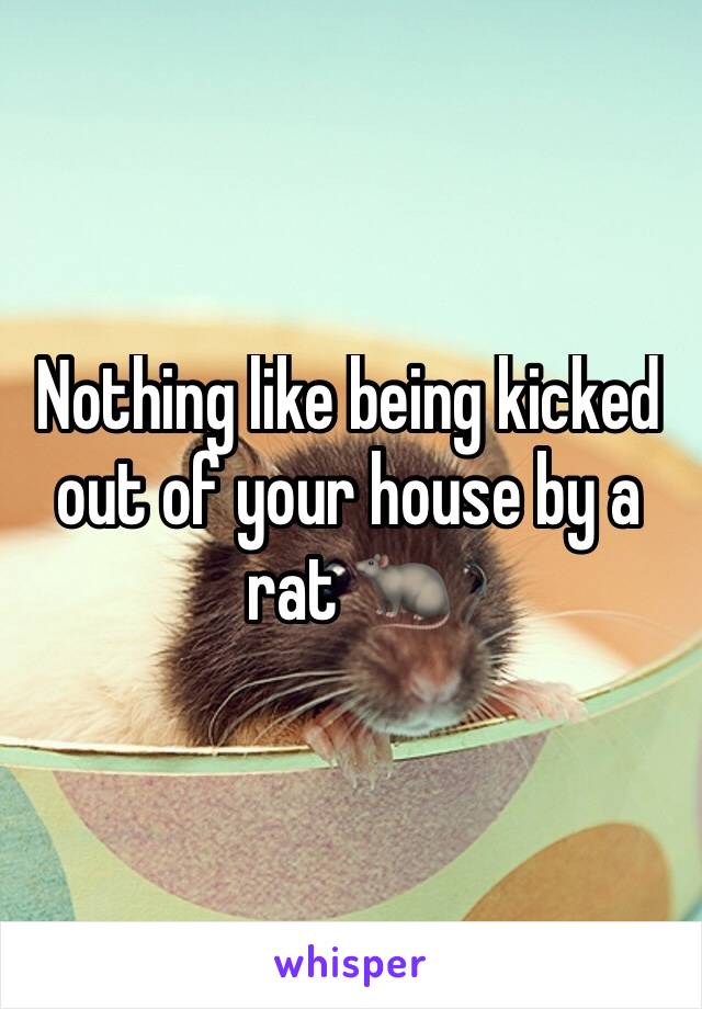 Nothing like being kicked out of your house by a rat 🐀