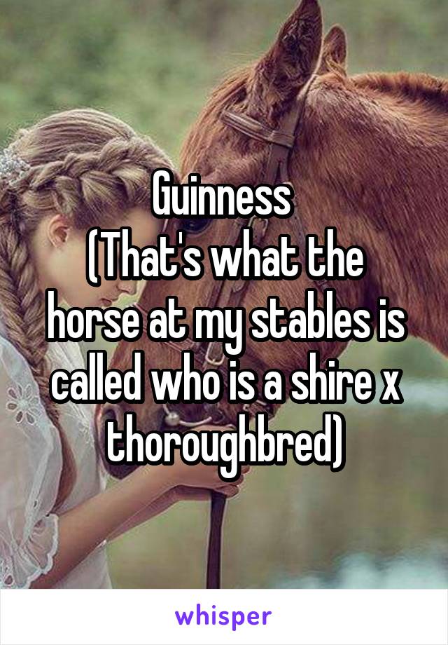 Guinness 
(That's what the horse at my stables is called who is a shire x thoroughbred)