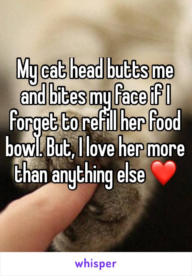 My cat head butts me and bites my face if I forget to refill her food bowl. But, I love her more than anything else ❤