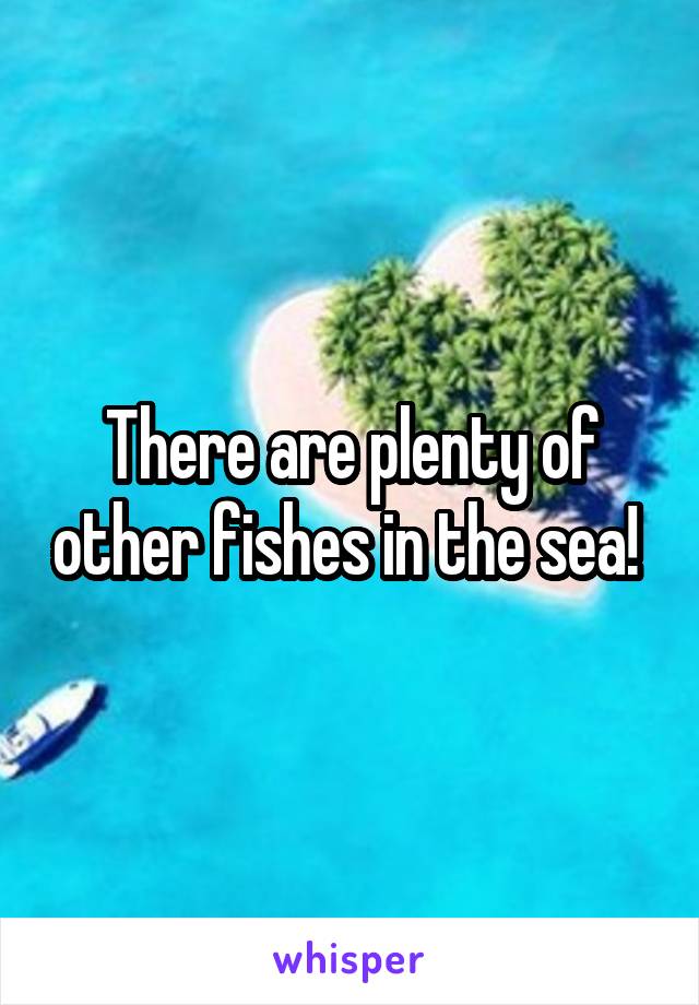 There are plenty of other fishes in the sea! 