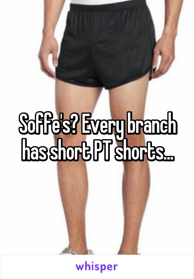 Soffe's? Every branch has short PT shorts...