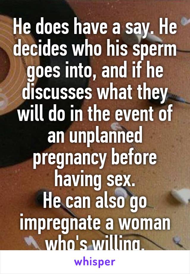 He does have a say. He decides who his sperm goes into, and if he discusses what they will do in the event of an unplanned pregnancy before having sex.
He can also go impregnate a woman who's willing.