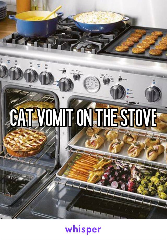 CAT VOMIT ON THE STOVE