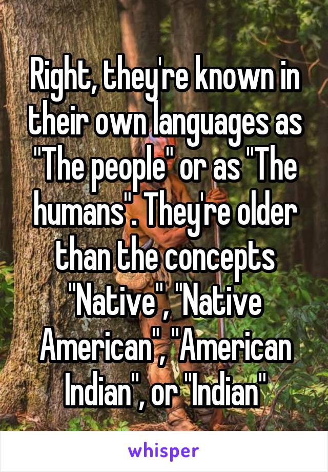 Right, they're known in their own languages as "The people" or as "The humans". They're older than the concepts "Native", "Native American", "American Indian", or "Indian"