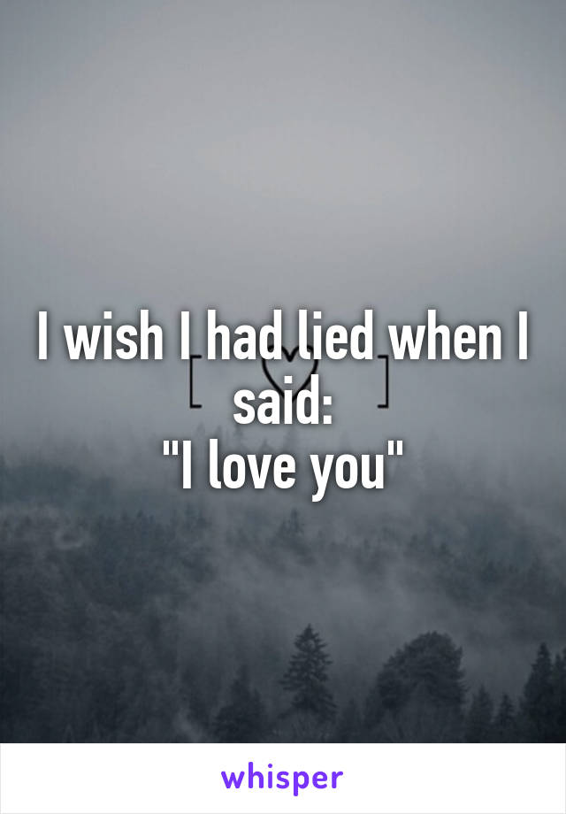 I wish I had lied when I said:
"I love you"