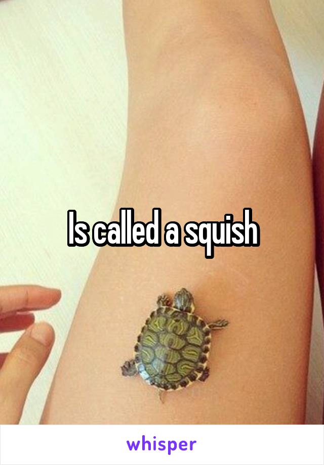 Is called a squish